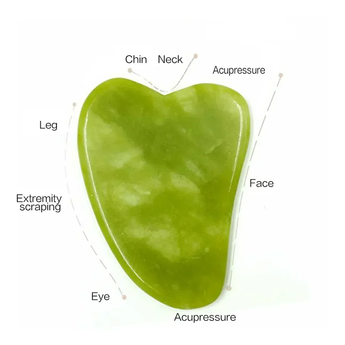 Natural Jade Roller Gua Sha – Stone Face and Body Massage Tool-Nextora