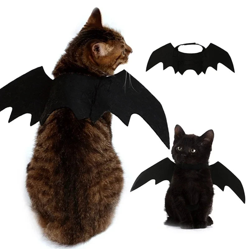 Cat Black Bat Wings – Halloween Pet Costume-Nextora
