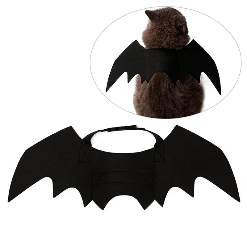 Cat Black Bat Wings – Halloween Pet Costume-Nextora