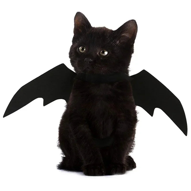 Cat Black Bat Wings – Halloween Pet Costume-Nextora