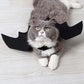 Cat Black Bat Wings – Halloween Pet Costume-Nextora