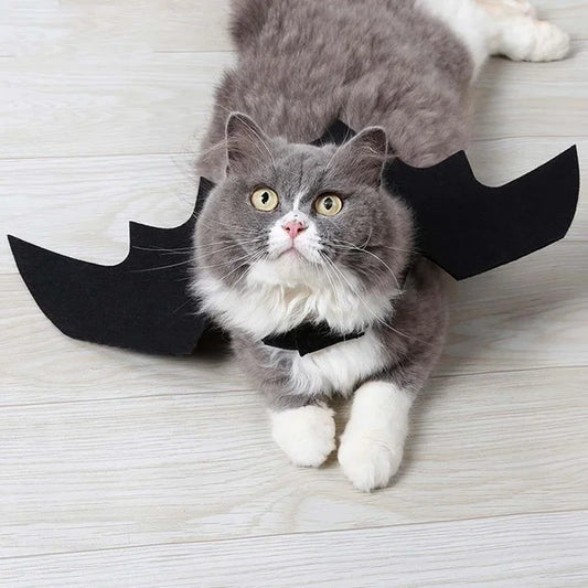 Cat Black Bat Wings – Halloween Pet Costume-Nextora