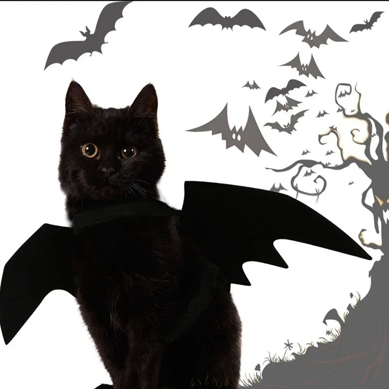 Cat Black Bat Wings – Halloween Pet Costume-Nextora