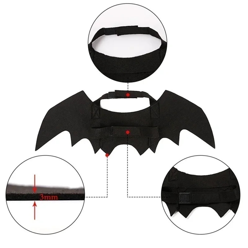Cat Black Bat Wings – Halloween Pet Costume-Nextora